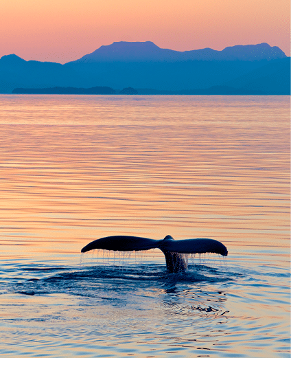 In Alaska In United States